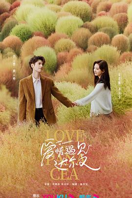 湖南seo优化合作公司